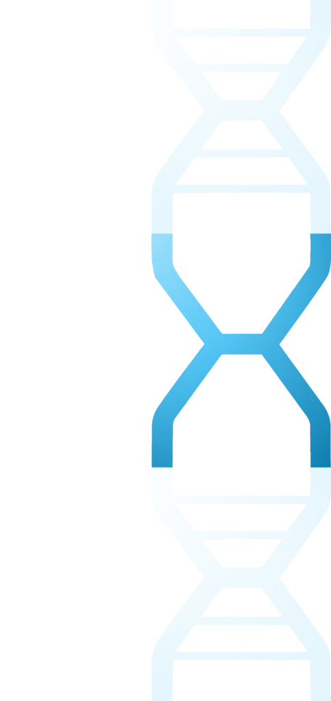 RigX
